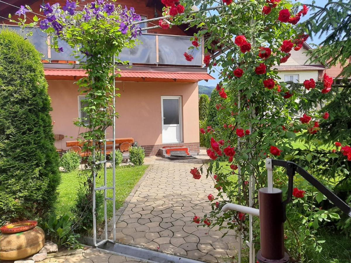 ホテル Casa Neagu コバスナ エクステリア 写真
