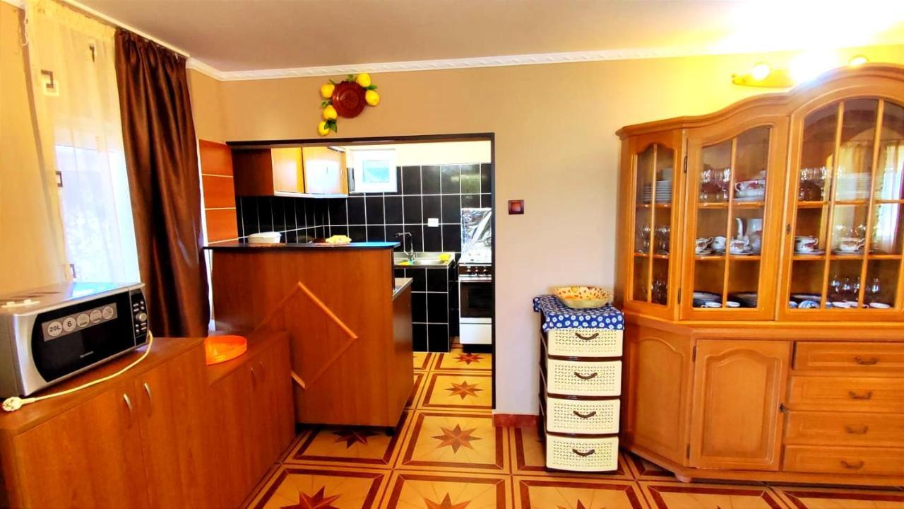 ホテル Casa Neagu コバスナ エクステリア 写真