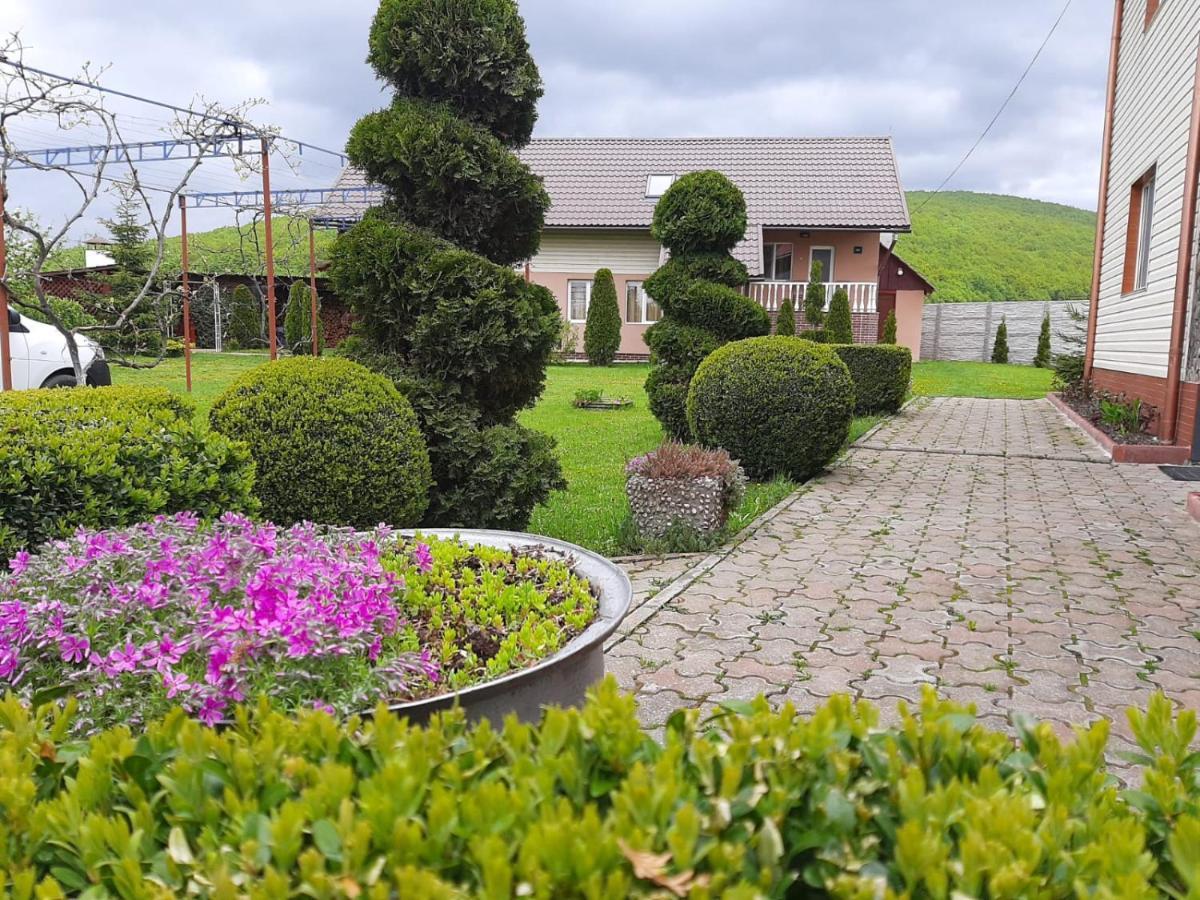 ホテル Casa Neagu コバスナ エクステリア 写真
